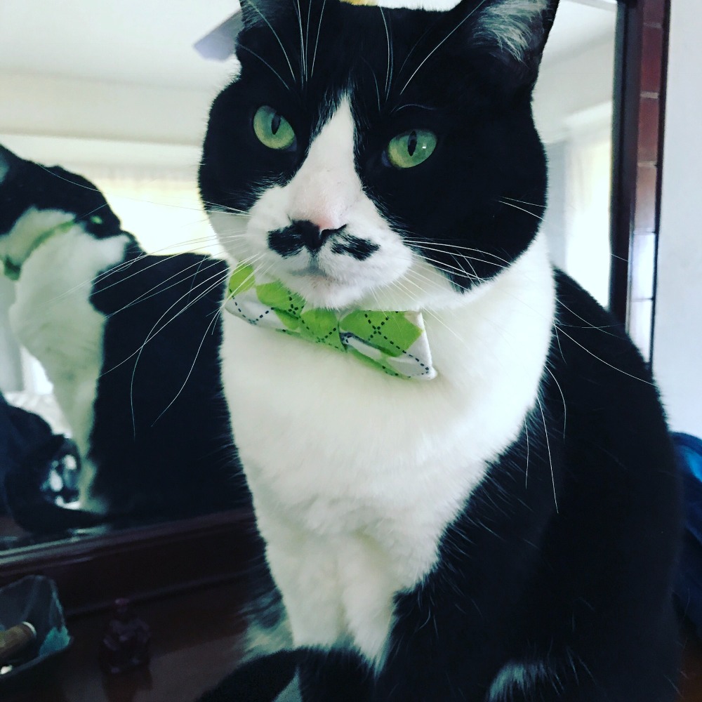 Meet your Posher, Kacee